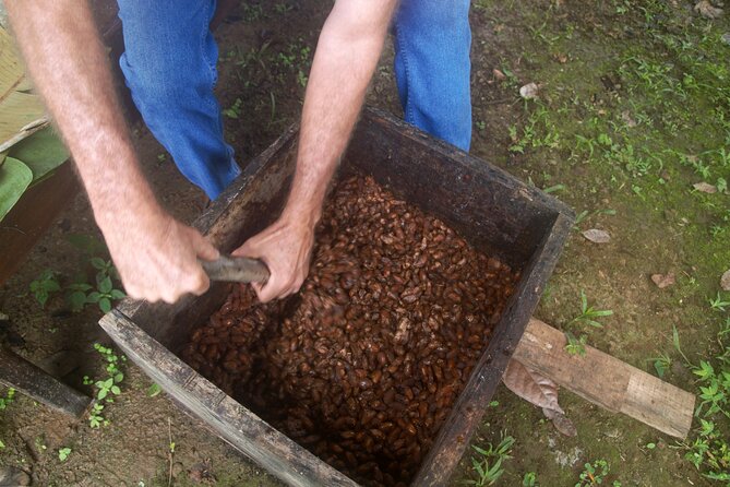 Chocolate and Farm Tour with local Tico family - Cacao farming in La Fortuna feels personal, not performative