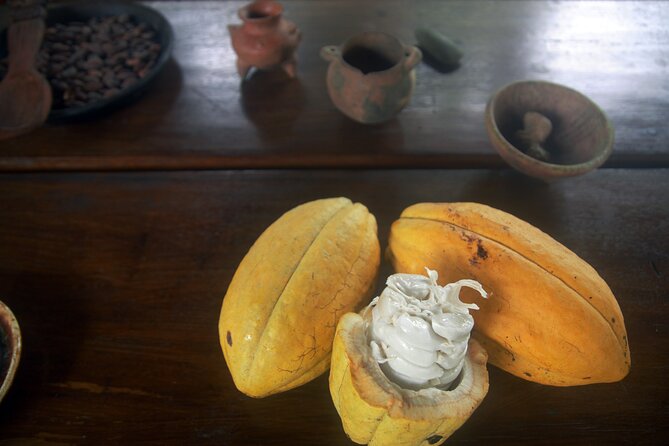 Chocolate and Farm Tour with local Tico family - Price and timing: a $45, roughly two-hour experience that respects your day
