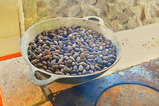 Chocolate and Farm Tour with local Tico family - Making chocolate bars and customizing toppings