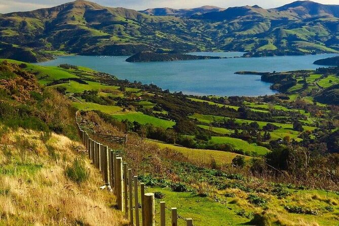 Christchurch Sheep Farm Visit - Weather and Schedule: When the Tour Might Change