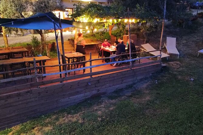 Cinta Senese tour with tasting dinner on the farm - Key highlights you will care about