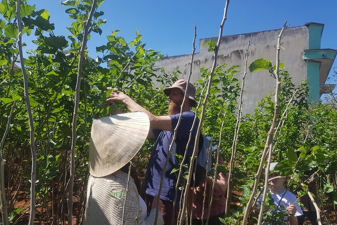 Coffee & Culture Experience _From Farm to Cup by Elon Farm - What the farm-to-cup lesson actually includes