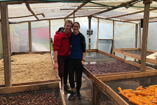 Coffee Farm and Salento Walking Tour - Coffee tasting and home-style food: how to think about it