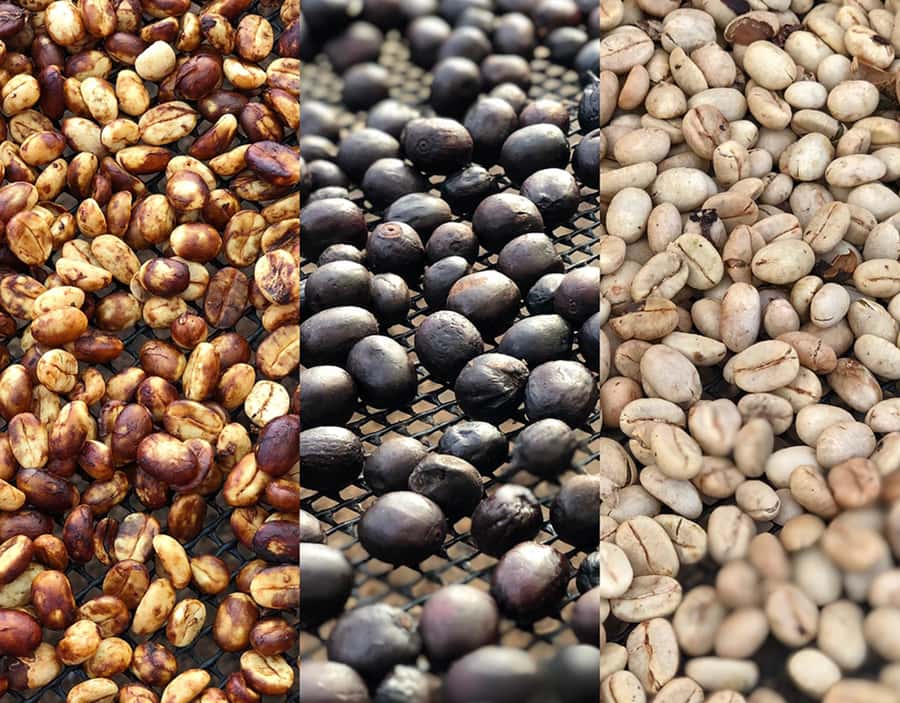 Coffee Farm and Salento Walking Tour - How the itinerary plays out hour by hour (and what to expect)