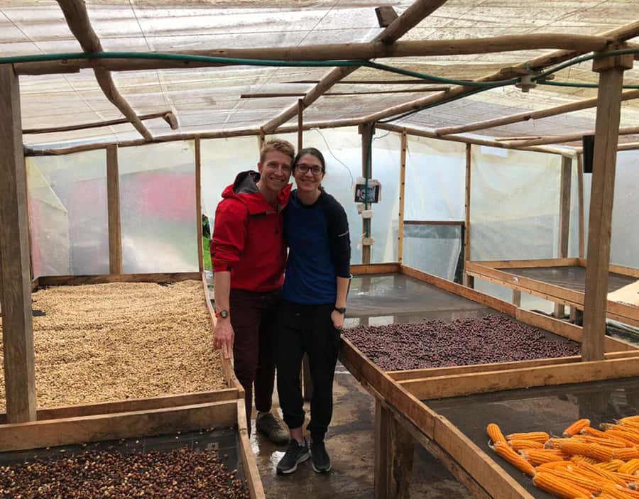 Coffee Farm and Salento Walking Tour - Price and value: is $93 fair for this half-day?