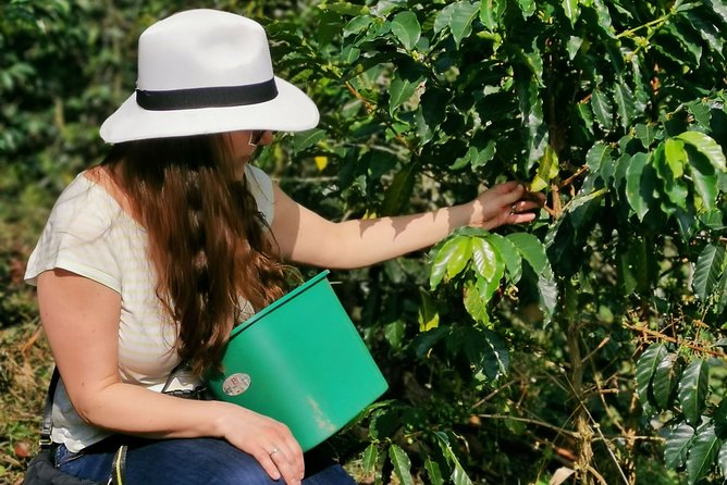 Coffee Farm & ATVs Private Tour in Medellin: Stunning Views & Fun - Key highlights at a glance