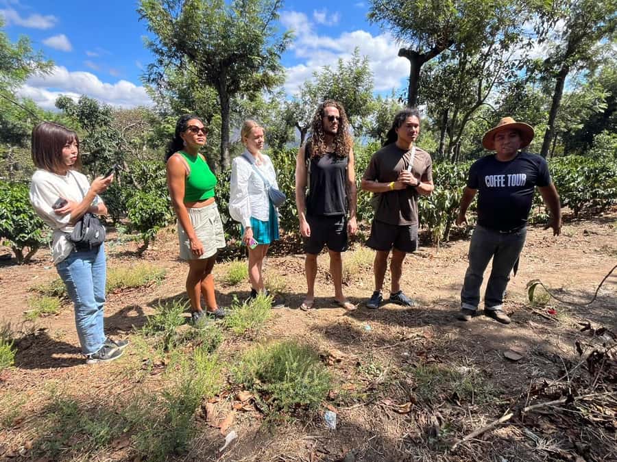 Coffee farm experience - Why a Ciudad Vieja coffee farm tour feels more real than a museum stop