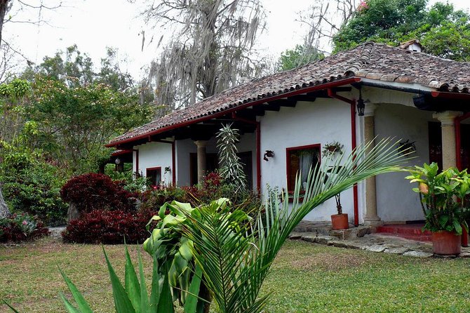 Coffee Farm Experience Private Day Tour - Coffee Tasting and Coffee Liquor: More Than One Way to Taste