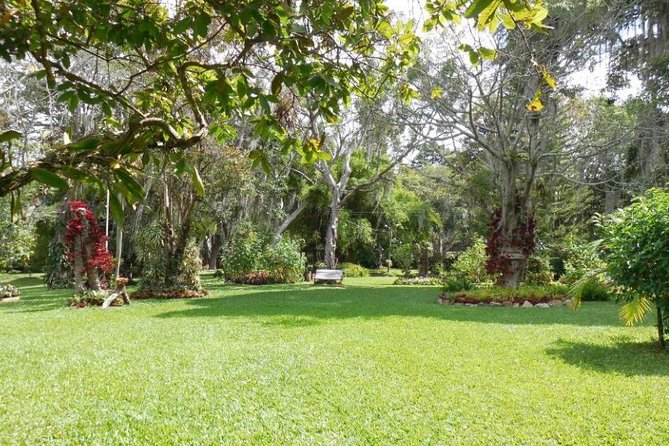 Coffee Farm Experience Private Day Tour - Lunch Option: Traditional Colombian Food When You Add It