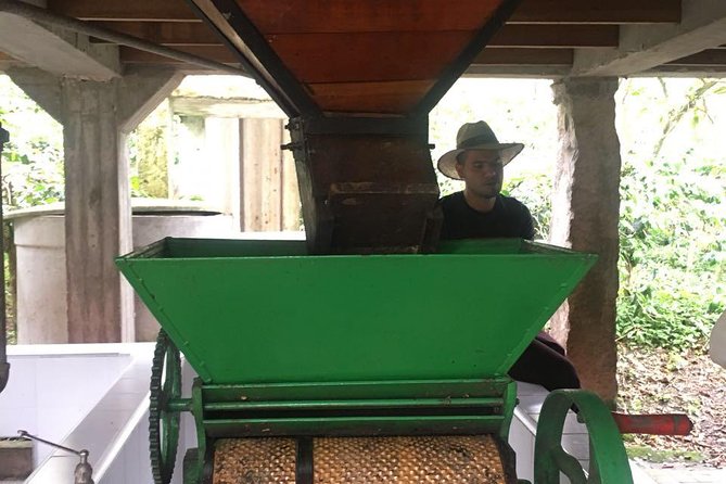 Coffee Farm Experience Private Day Tour - Private Means Personal: Guides, Pace, and How the Day Feels