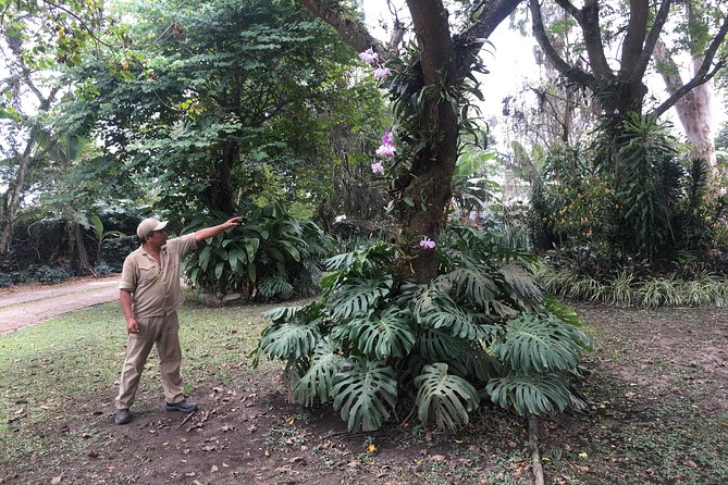 Coffee Farm Experience Private Day Tour - Price and Logistics: Does $110 Hold Up for a Private Tour?