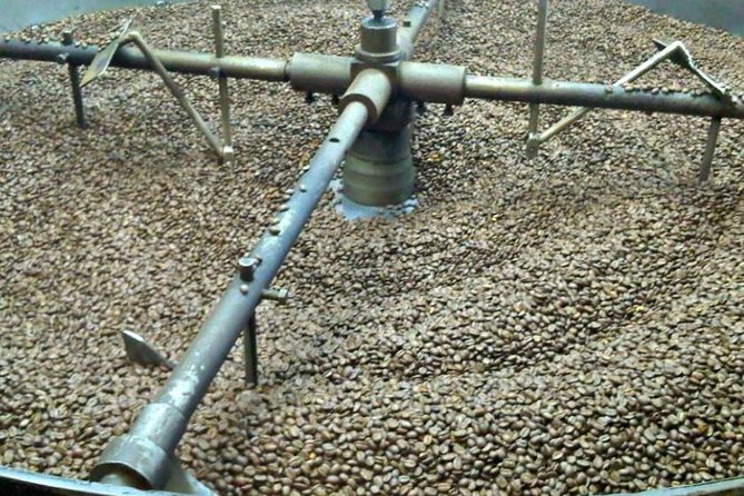 Coffee Farm Experience Private Day Tour - Hacienda Coloma: From Coffee Plants to Your Cup