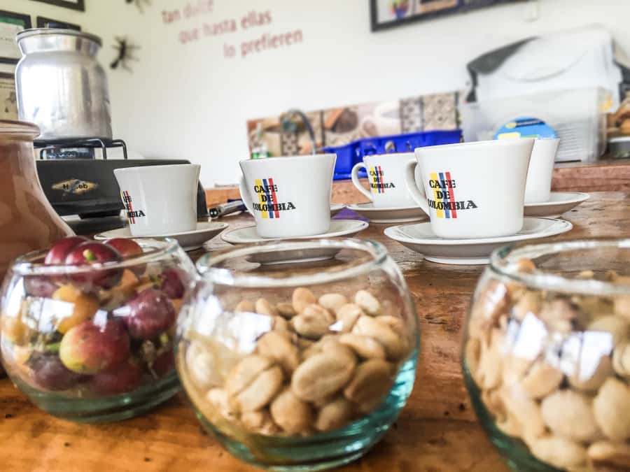 Coffee Farm Tour at Finca El Ocaso from Salento - The coffee production lesson: from harvest to roast to grind