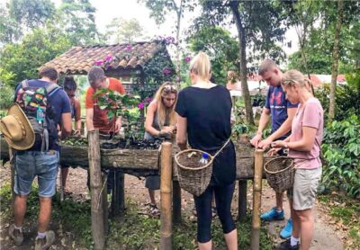 Coffee Farm Tour at Finca El Ocaso from Salento - Inside a sustainable coffee farm near Salento