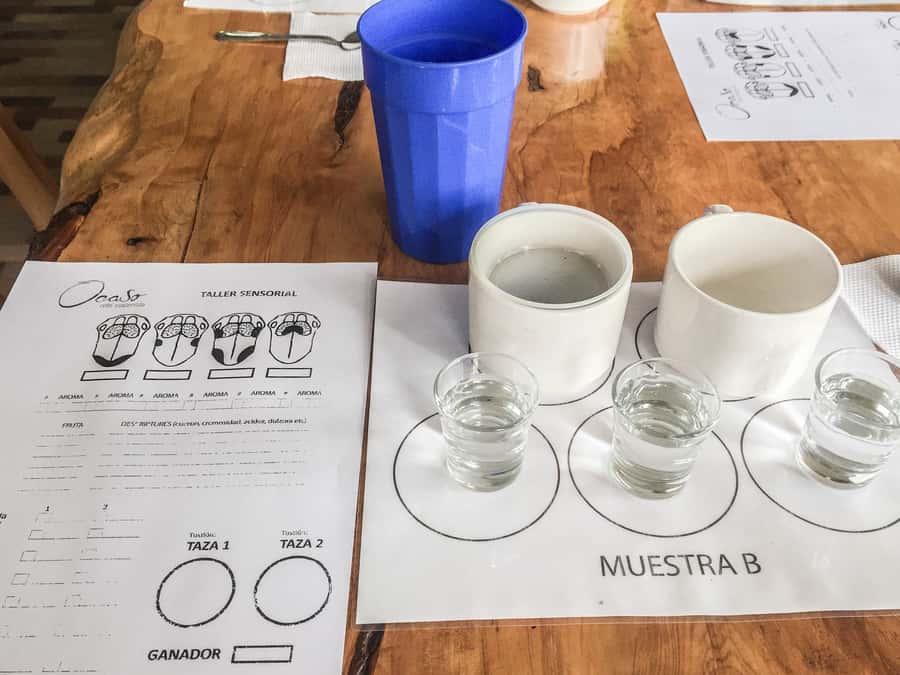 Coffee Farm Tour at Finca El Ocaso from Salento - Coffee tasting: learning aromas and how brewing changes everything