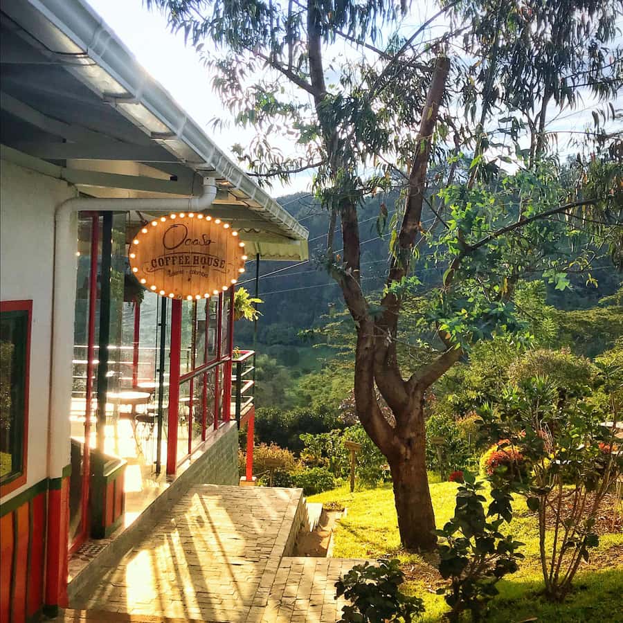 Coffee Farm Tour at Finca El Ocaso from Salento - Price and what you’re actually getting for $93
