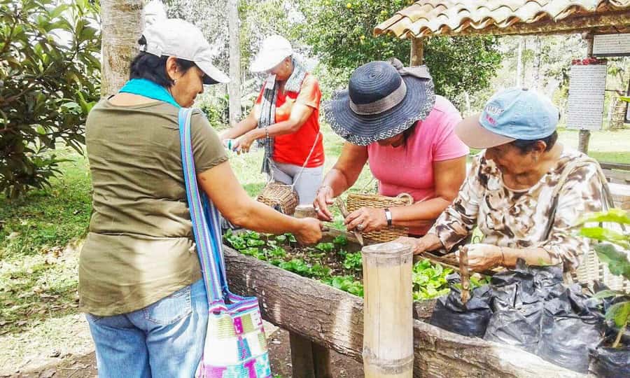 Coffee Farm Tour at Finca El Ocaso from Salento - Itinerary pacing: what each segment feels like