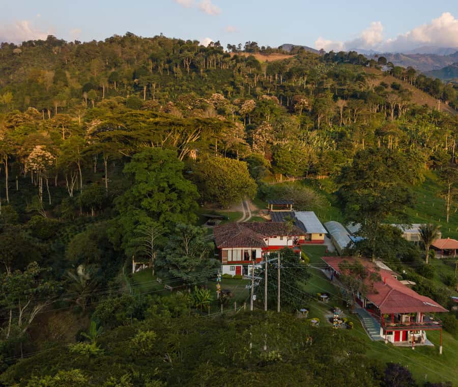 Coffee Farm Tour at Finca El Ocaso from Salento - Who should book this coffee farm tour (and who should skip it)