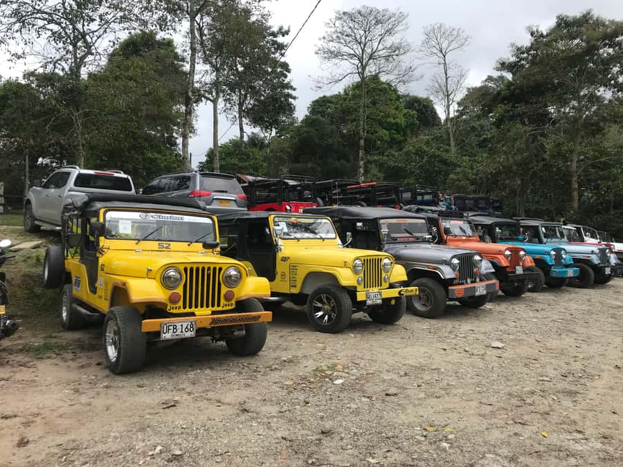 Coffee Farm Tour at Finca El Ocaso from Salento - Should you book the Coffee Farm Tour at Finca El Ocaso?