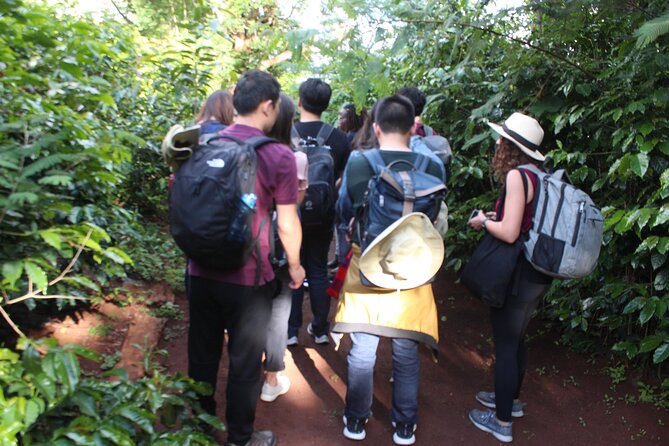 Coffee farm tour, coffee roasting and tasting experience - Getting there smoothly: transfers help, but road conditions are real