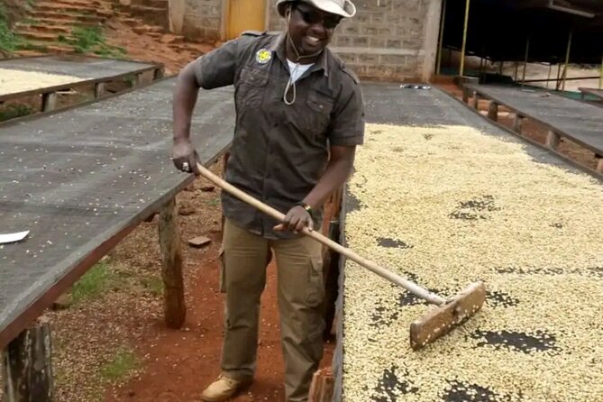 Coffee farm tour, coffee roasting and tasting experience - Food, drinks, and what’s included (so you can plan your day)