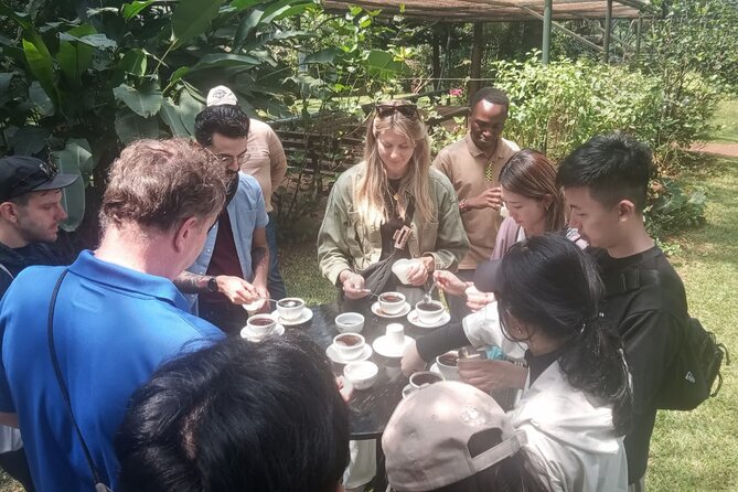 Coffee Farm Tour (Fairview) - Tasting Fairview coffees: training your tongue with 4 samples