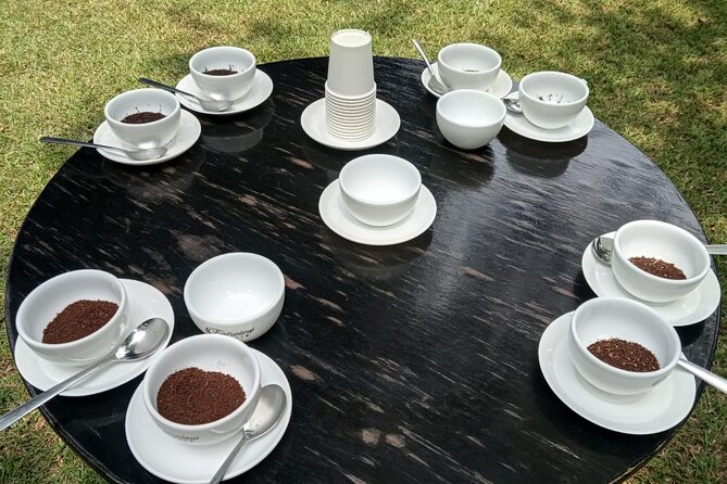 Coffee Farm Tour (Fairview) - Time, comfort, and Nairobi-to-farm practicality