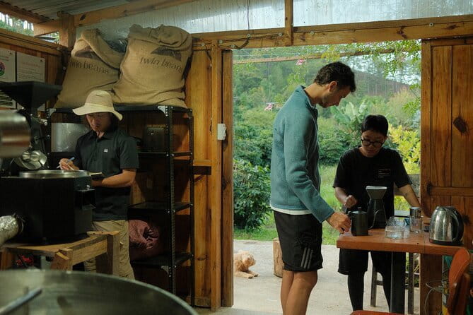 Coffee Farm Tour with Roasting & Tasting Workshop - Da Lat - Twin Beans Farm: why this Da Lat coffee stop feels real
