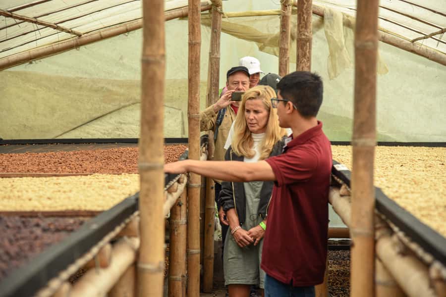 Coffee Tour Salento-Ocaso Farm- English Tour - Should you book the Coffee Tour Salento–Ocaso Farm?