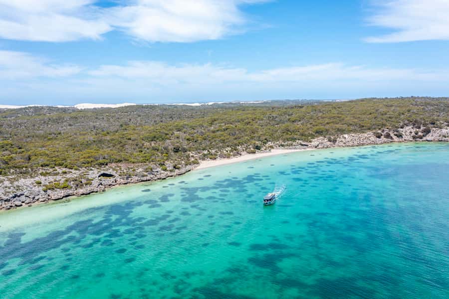 Coffin Bay: Oyster Farm Boat Tour with Wading & 12 Oysters - Waders on: what it’s like standing in an oyster lease