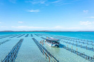 Coffin Bay: Oyster Farm Boat Tour with Wading & 12 Oysters - The 3-hour flow: cruise, oyster farm walk, then back for the goods