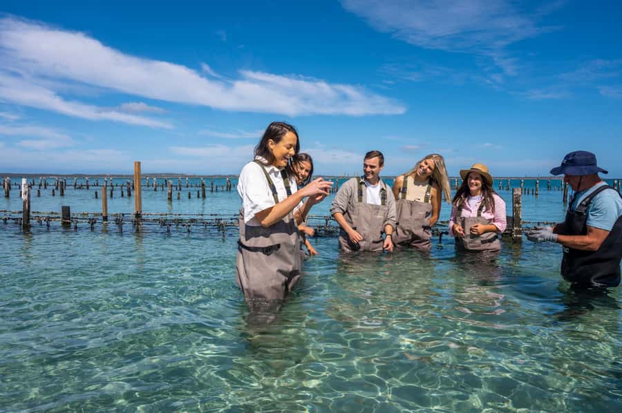 Coffin Bay: Oyster Farm Boat Tour with Wading & 12 Oysters - Fresh-shucked oysters: the tasting payoff and how to eat them well
