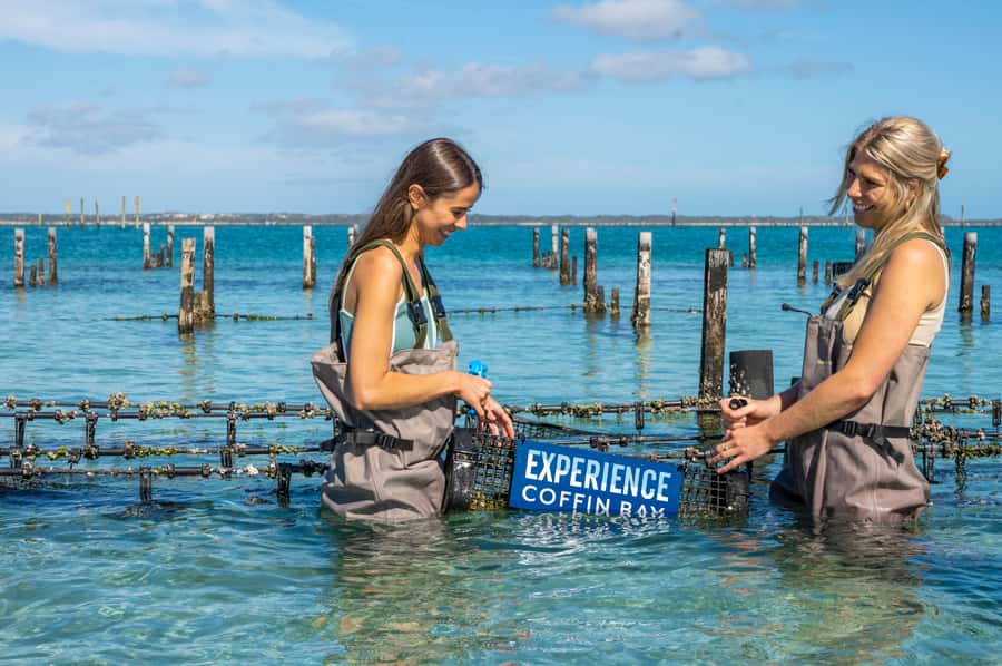 Coffin Bay: Oyster Farm Boat Tour with Wading & 12 Oysters - The viewpoint stop with regional tastings: why it’s more than a break