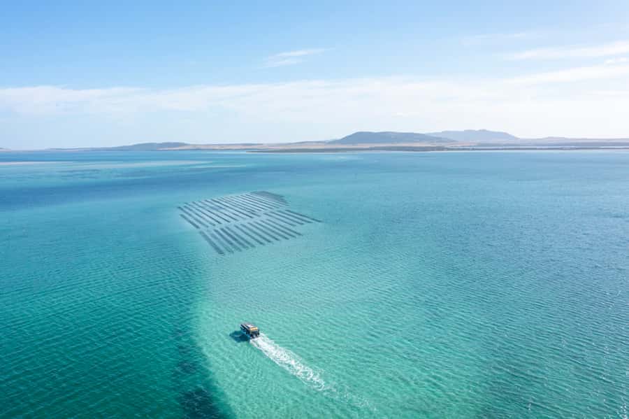 Coffin Bay: Oyster Farm Boat Tour with Wading & 12 Oysters - Coffin Bay National Park time: quick nature context on the return