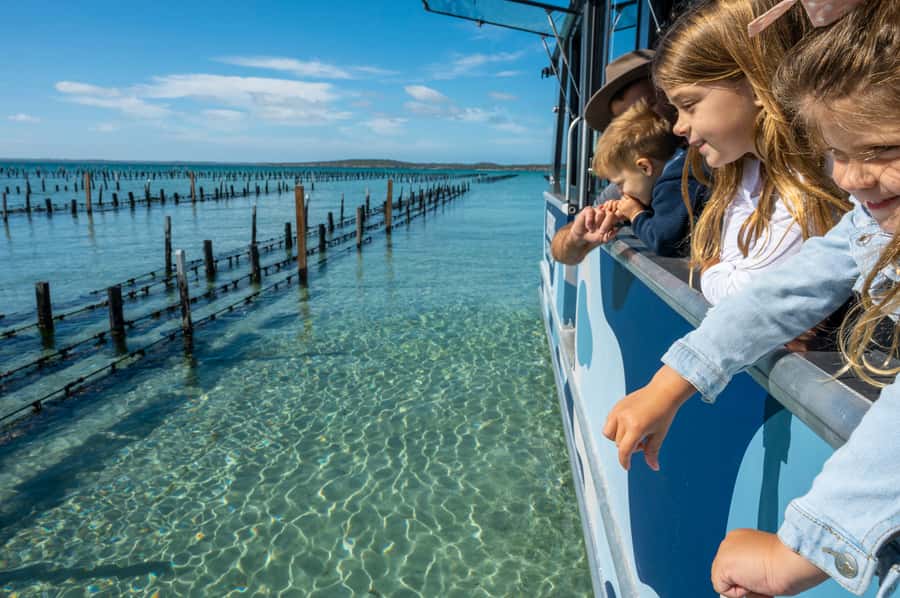 Coffin Bay: Oyster Farm Boat Tour with Wading & 12 Oysters - Value check: is $130 per person worth it