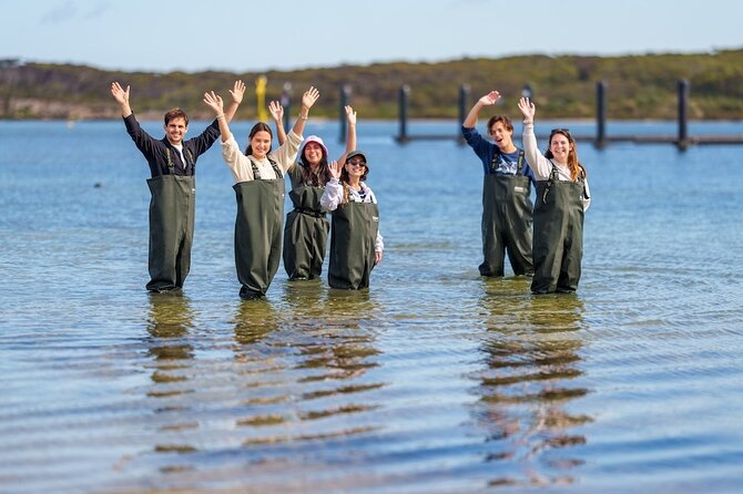 Coffin Bay Oyster Farm Wading Tour & Tasting Experience - Key highlights to know before you go