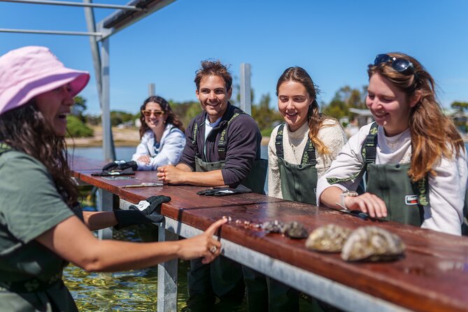 Coffin Bay Oyster Farm Wading Tour & Tasting Experience - Tasting with wine, sparkling wine, or a seafood platter upgrade