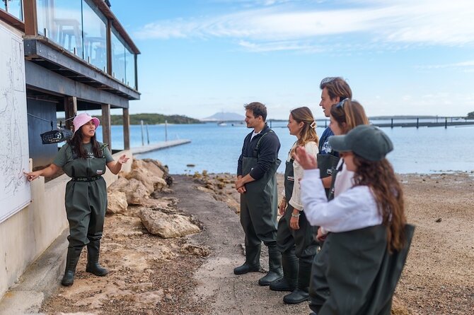 Coffin Bay Oyster Farm Wading Tour & Tasting Experience - Timing, group size, and what to expect on the day