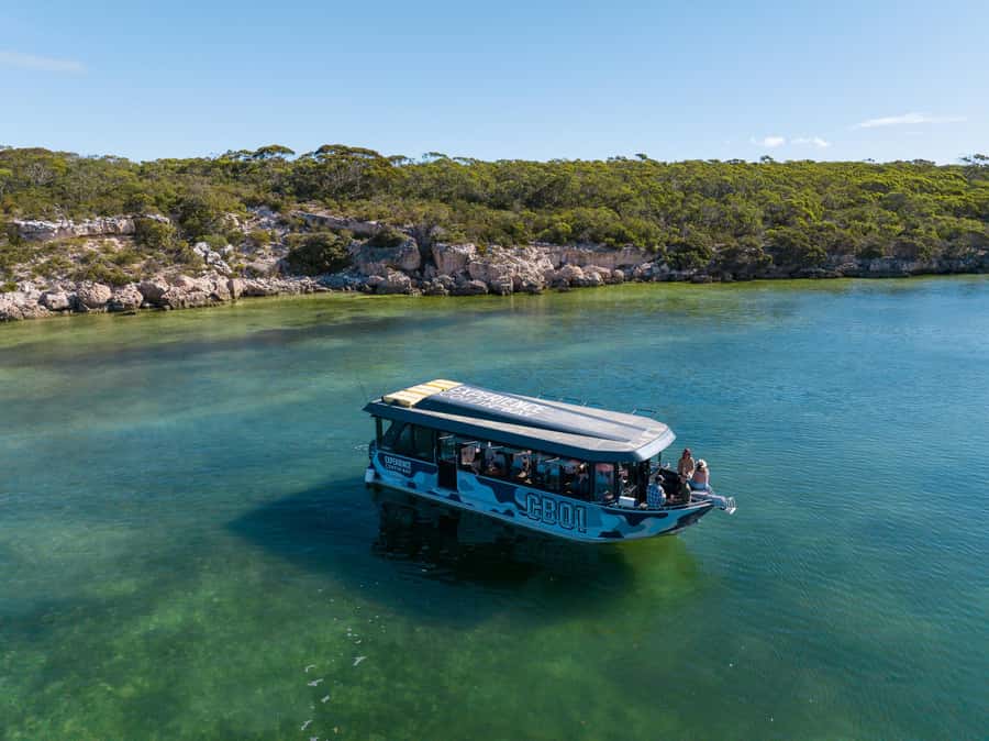Coffin Bay: Short and Sweet Oyster Farm Tour - The sightseeing cruise: coastline views plus a real chance of dolphins