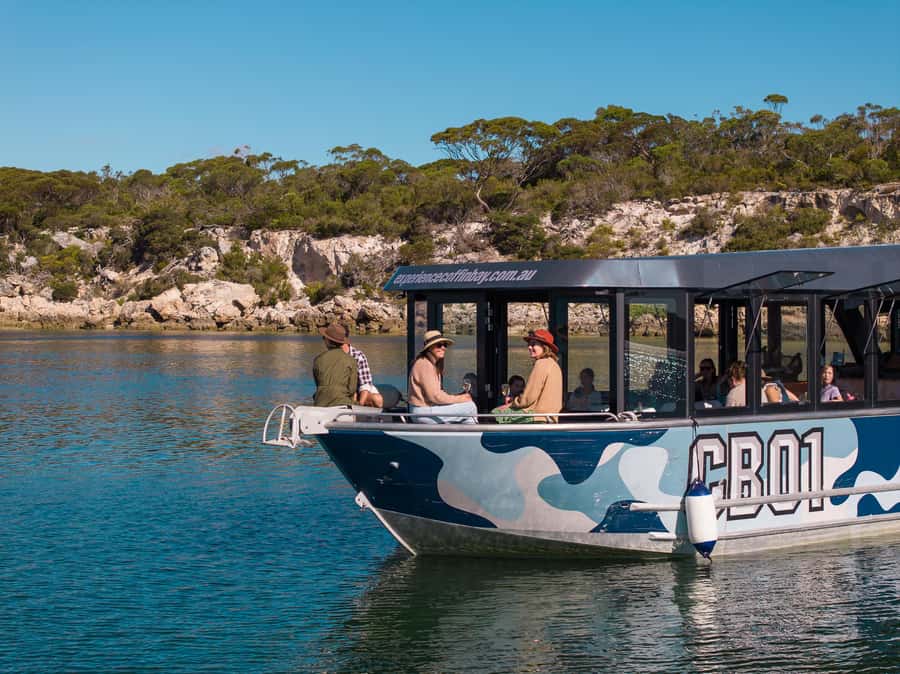 Coffin Bay: Short and Sweet Oyster Farm Tour - Native Angasi oyster reef restoration: the local ecology lesson
