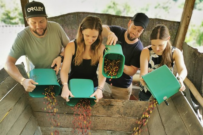 Comuna 13 & Coffee Farm Private Tour in Medellin | The Best Combo - Comuna 13’s Escaleras Eléctricas: More Than a Photo Stop