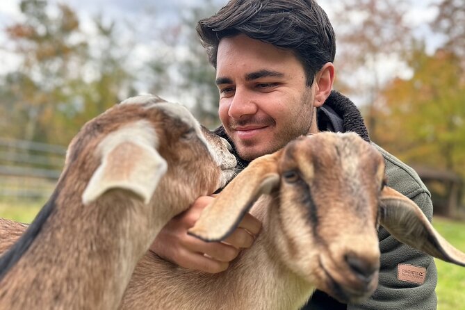 Connect with Rescue Animals on a Private Farm Tour in Catskills - How the 1-Hour Tour Feels: Animals Set the Pace