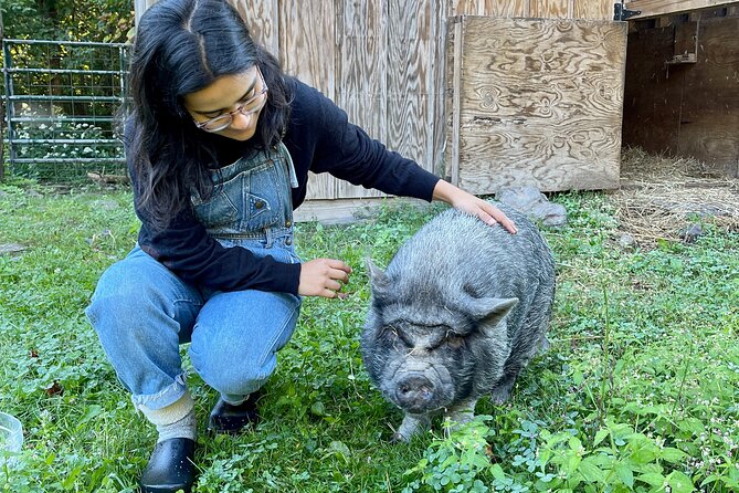 Connect with Rescue Animals on a Private Farm Tour in Catskills - Hand-Feeding and Petting: Fun, But Keep It Respectful