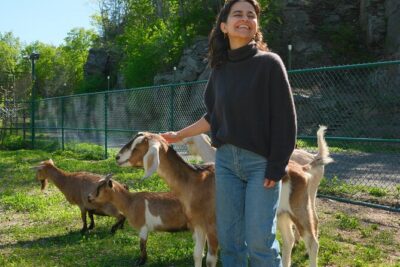 Connect with Rescue Animals on a Private Farm Tour in Catskills - Meeting the Cast: Donkeys, Goats, Emus, Horses, and Mini Donkeys