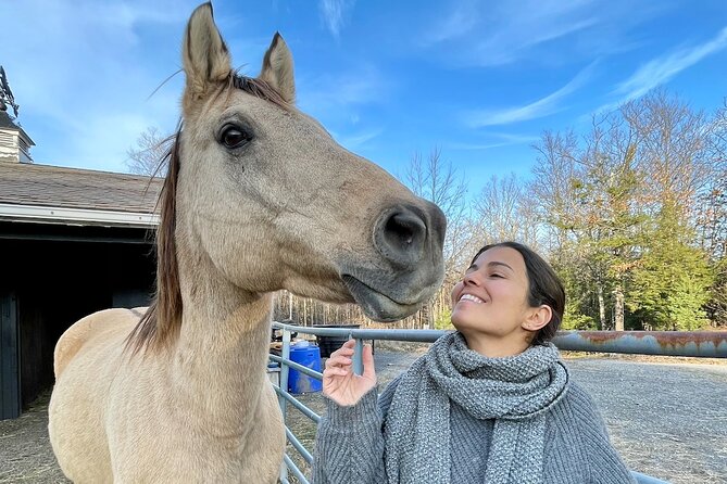 Connect with Rescue Animals on a Private Farm Tour in Catskills - Jake’s Rescue Stories: Why This Is More Than Just Cute Animals