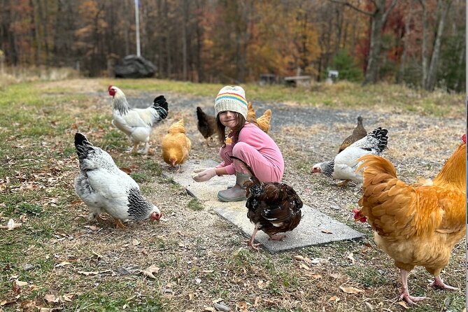 Connect with Rescue Animals on a Private Farm Tour in Catskills - Price and Value: $97.50 for Up to 6 People