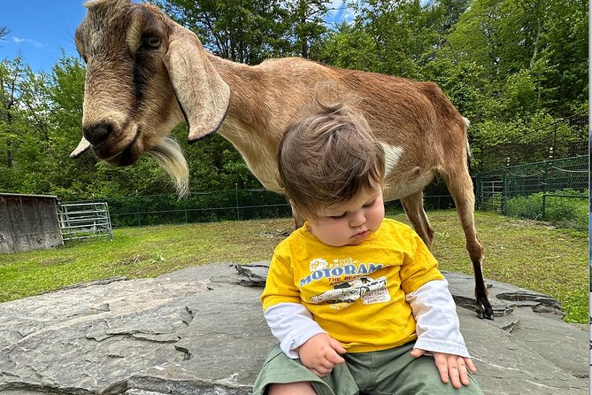 Connect with Rescue Animals on a Private Farm Tour in Catskills - Timing, Weather, and What to Wear in the Catskills
