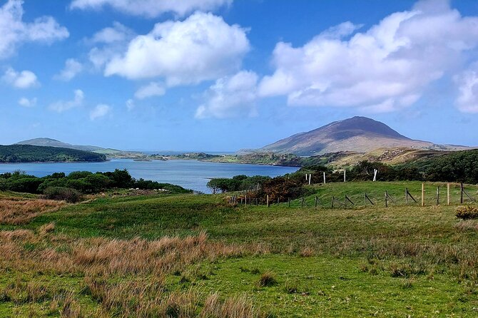 Connemara Sheep Farm experience & Kylemore Abbey by Lux Limousine - Killary Sheep Farm: watching dogs work and learning farm reality