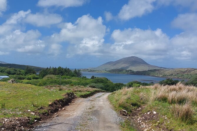 Connemara Sheep Farm experience & Kylemore Abbey by Lux Limousine - How the day runs in real life (and why timing matters)