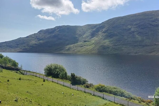 Connemara Sheep Farm experience & Kylemore Abbey by Lux Limousine - Who this fits best (and who might want a different plan)